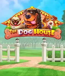 From Pragmatic Play comes The Dog House, offering an adorable adventure among playful pups. Discover gameplay elements including sticky wilds, aimed at providing exciting wins. Perfect for animal enthusiasts a cheerful setting and the opportunity to win big.