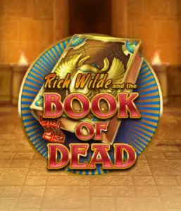 Dive into the thrilling world of Book of Dead by Play'n GO, showcasing vivid graphics of Rich Wilde's journey through ancient Egyptian tombs and artifacts. Discover lost riches with engaging mechanics like free spins, expanding icons, and a gamble option. Ideal for adventure seekers with a desire for unearthing secrets.